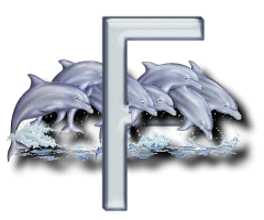 daup-7676767676-6.gif