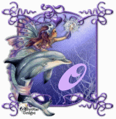 dauphin-8878777-15.gif