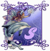 dauphin-8878777-19.gif