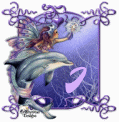 dauphin-8878777-9.gif