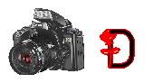 digitalphotos-D.gif