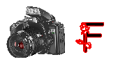 digitalphotos-F.gif