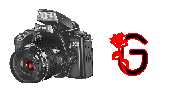 digitalphotos-G.gif