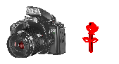 digitalphotos-I.gif