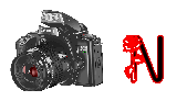 digitalphotos-N.gif