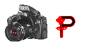 digitalphotos-P.gif