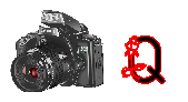 digitalphotos-Q.gif