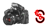 digitalphotos-S.gif