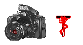 digitalphotos-T.gif