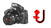 digitalphotos-U.gif