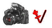 digitalphotos-V.gif