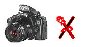 digitalphotos-X.gif