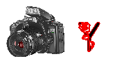 digitalphotos-Y.gif