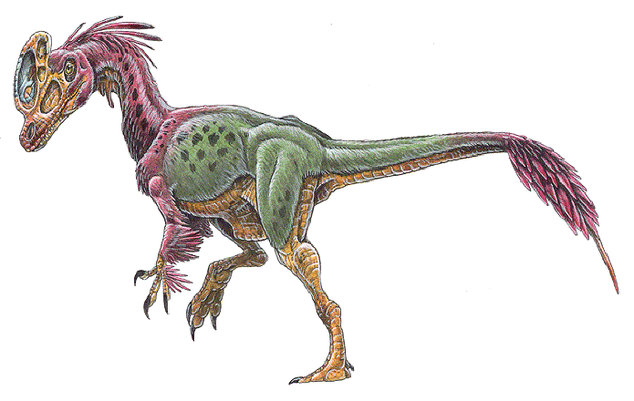 dinosaure-57.gif