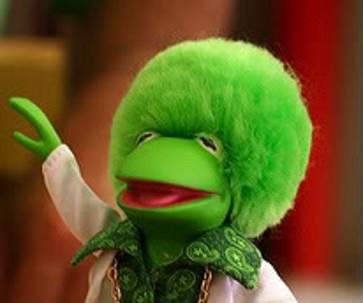 disco-kermit-with-afro.jpg