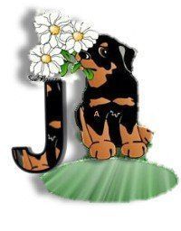 dogJ.jpg