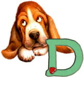 doggya-34394340500505050-4.gif