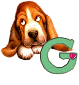 doggya-34394340500505050-7.gif