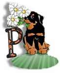 dogp.jpg