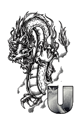 dragon-87878787-21.gif