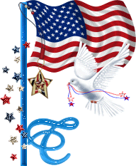 drapeau-454566667-20.gif