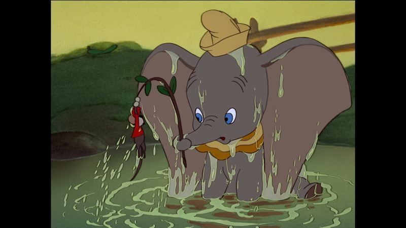 dumbo-16.jpg