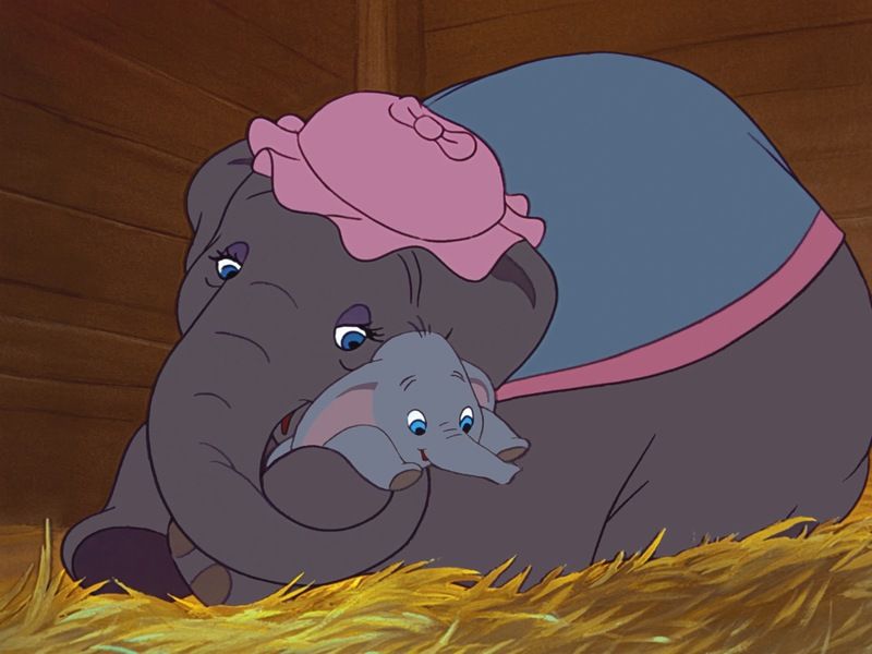 dumbo-163493034034347.jpg