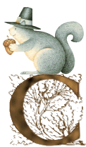 ecureuil-594945954-3.gif