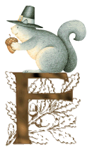 ecureuil-594945954-6.gif