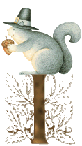 ecureuil-594945954-9.gif