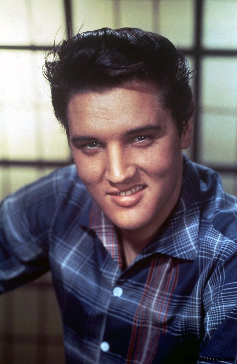 elvis-115.jpg