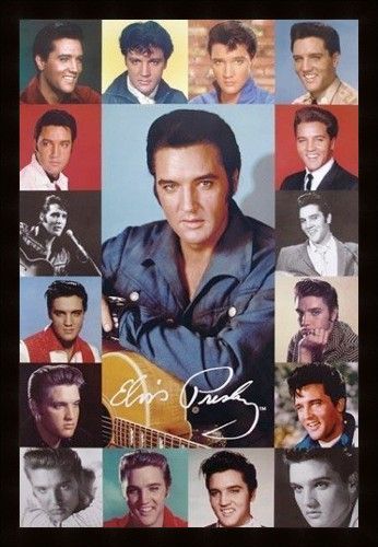 elvis-132.jpg