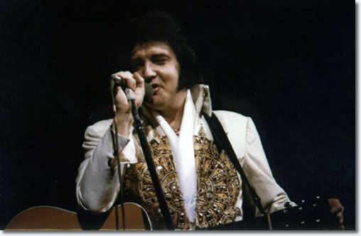 elvis-182.jpg