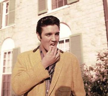 elvis-225.jpg