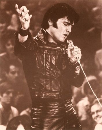 elvis-245.jpg