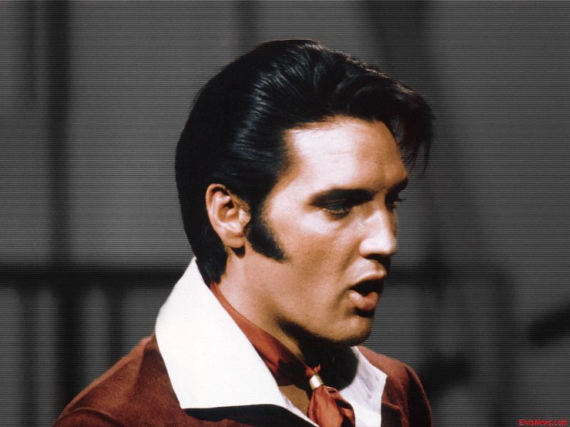 elvis-305.jpg