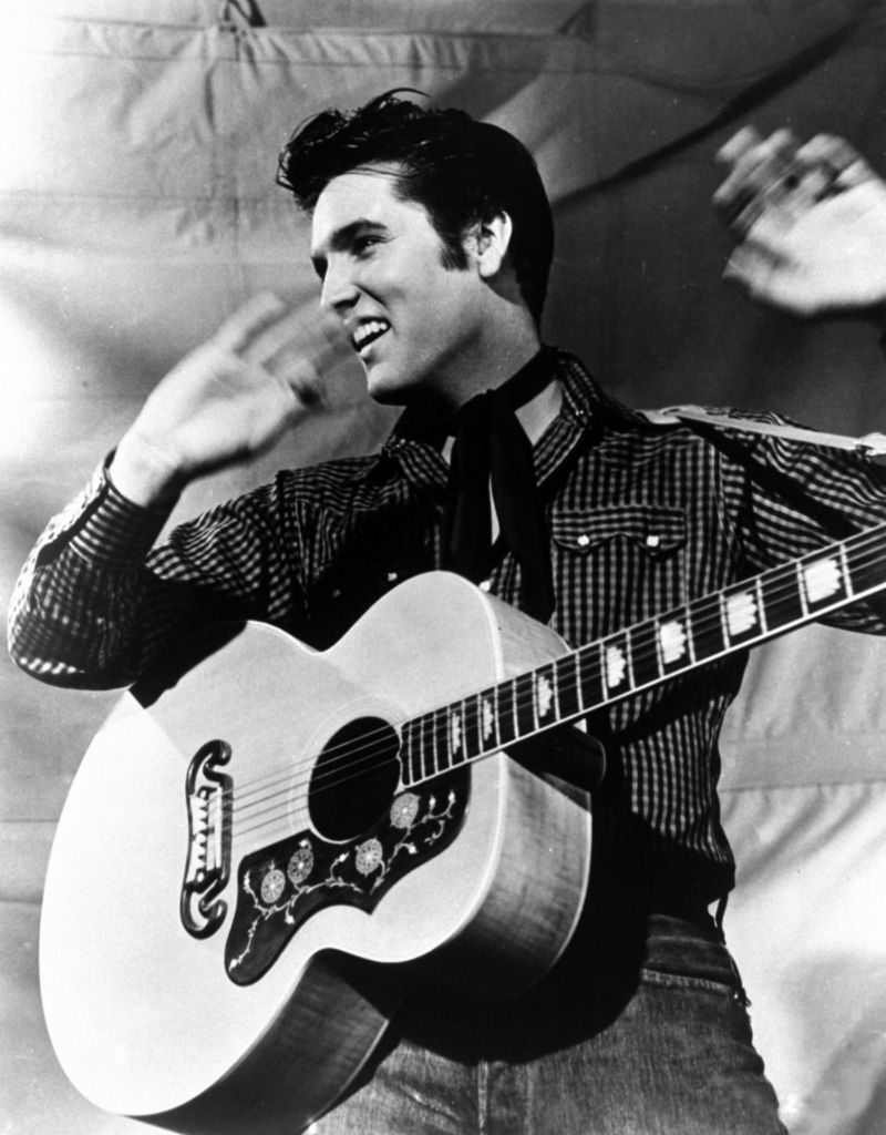 elvis-310.jpg