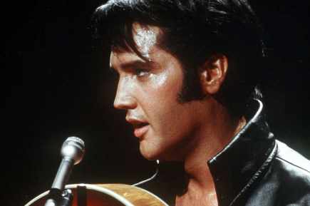 elvis-347.jpg