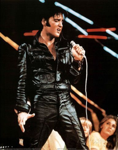 elvis-382.jpg