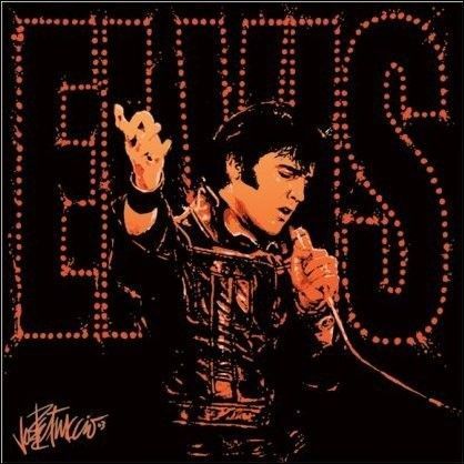 elvis-383.jpg