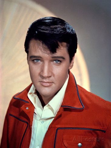 elvis-384.jpg