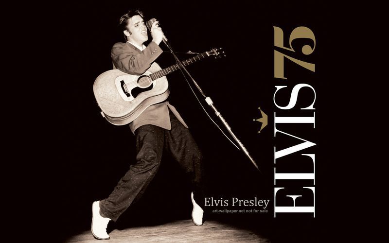 elvis-404.jpg