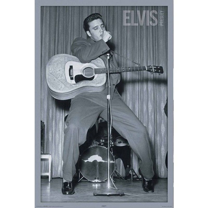 elvis-448.jpg