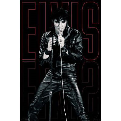 elvis-496.jpg