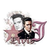 elvis-5454954966-10.jpg