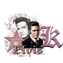 elvis-5454954966-11.jpg