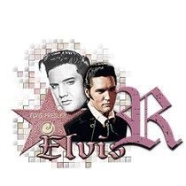 elvis-5454954966-18.jpg