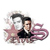 elvis-5454954966-19.jpg