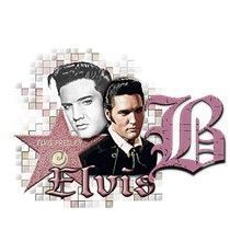 elvis-5454954966-2.jpg