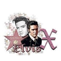 elvis-5454954966-24.jpg